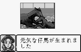 Screenshot Thumbnail / Media File 1 for Kyoso Uma Ikusei Simulation Keiba (J) [M]